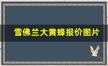 雪佛兰大黄蜂报价图片,雪佛兰科迈罗价格走势