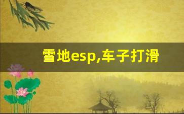 雪地esp,车子打滑esp亮了一下