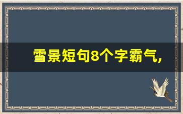 雪景短句8个字霸气,下雪天暖心短句