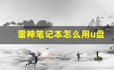 雷神笔记本怎么用u盘装系统