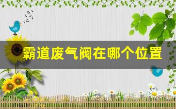 霸道废气阀在哪个位置,丰田汉兰达废气阀在什么位置