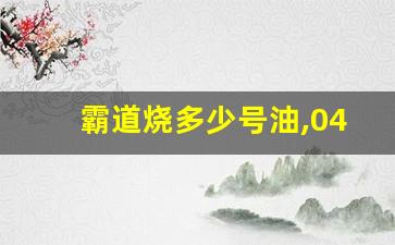 霸道烧多少号油,04年霸道一公里要烧多少油