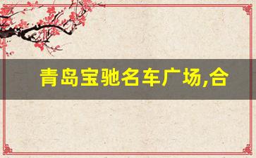 青岛宝驰名车广场,合肥汇众名车广场