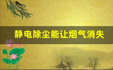 静电除尘能让烟气消失吗,烟气处理