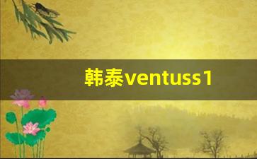 韩泰ventuss1evo2噪音很大吗