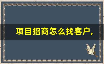 项目招商怎么找客户,产业园区招商引资方案