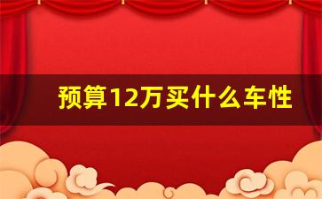 预算12万买什么车性价比最高,10万内性价比高的车