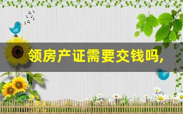 领房产证需要交钱吗,房产证一天能办下来不