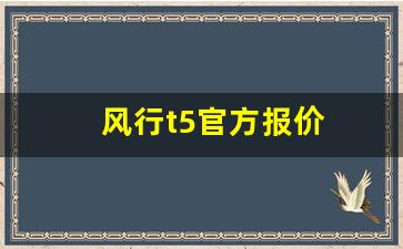 风行t5官方报价