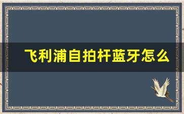 飞利浦自拍杆蓝牙怎么连接,自拍杆蓝牙开关在哪里