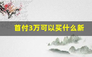 首付3万可以买什么新车,10万的车首付2万可以吗