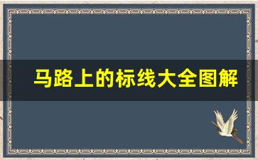 马路上的标线大全图解