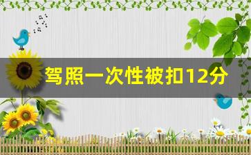 驾照一次性被扣12分新规定