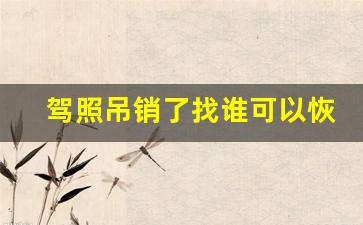 驾照吊销了找谁可以恢复,2023年驾驶证吊销恢复政策