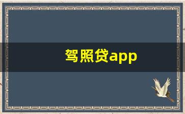 驾照贷app