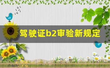 驾驶证b2审验新规定