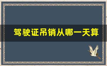 驾驶证吊销从哪一天算起