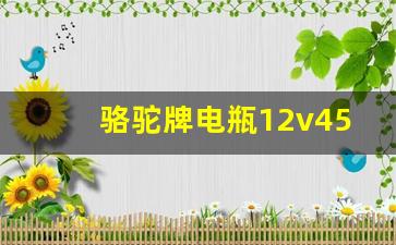 骆驼牌电瓶12v45安多少钱,骆驼2s45电瓶多少钱一个