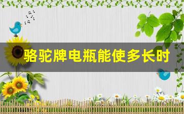 骆驼牌电瓶能使多长时间,骆驼电池型号及价格表