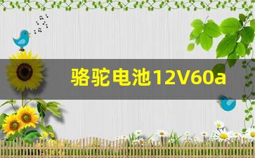 骆驼电池12V60ah580怎么样,骆驼牌电瓶12v60价格