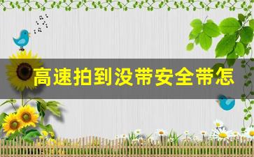 高速拍到没带安全带怎么处罚,2023新交规不系安全带