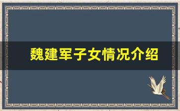 魏建军子女情况介绍