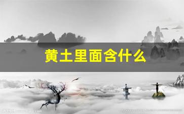 黄土里面含什么