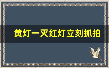 黄灯一灭红灯立刻抓拍吗