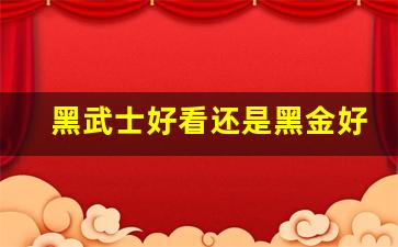 黑武士好看还是黑金好看,黑武士是哪种黑